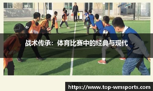 完美体育公司