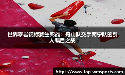 完美体育公司